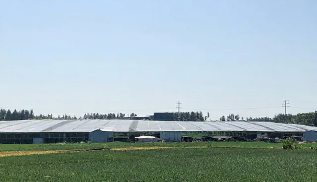 技术开发选型关注点:澄清常见误区