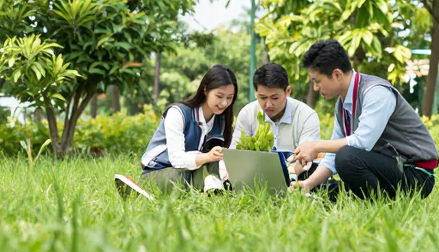 性能优化在关键业务场景中的实际应用分析